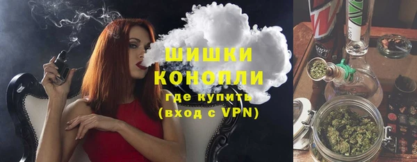 МДПВ Волоколамск