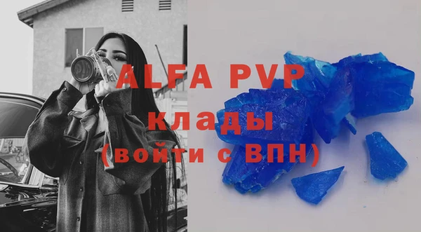 сатива Нягань