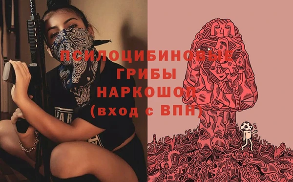 мдпв Володарск