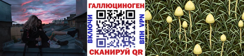 Псилоцибиновые грибы GOLDEN TEACHER  Зубцов 